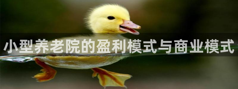 韦德1946官方