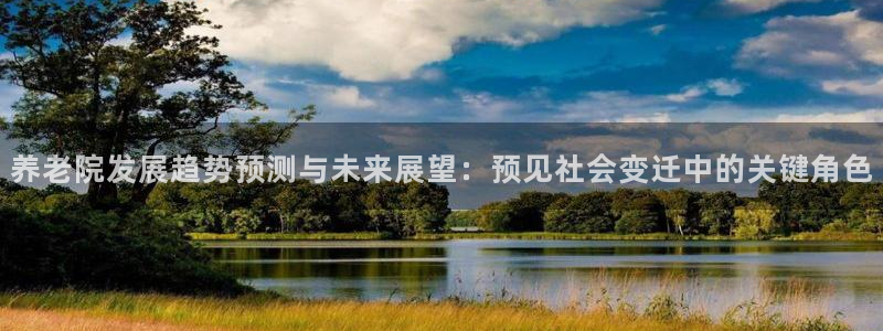韦德新品