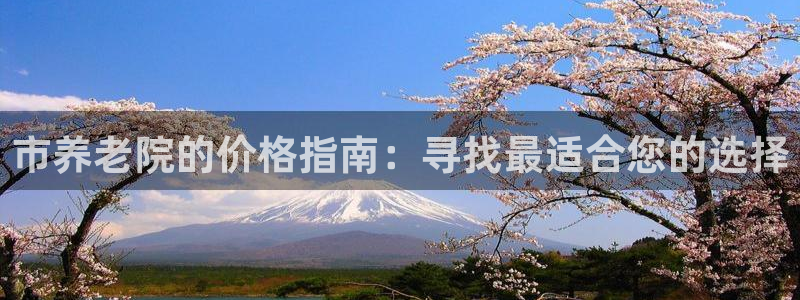 韦德网站是多少