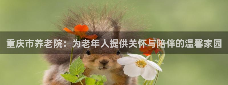 韦德1946下载