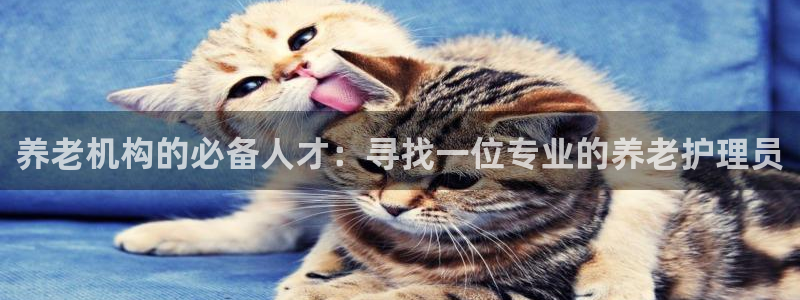 韦德1946体育