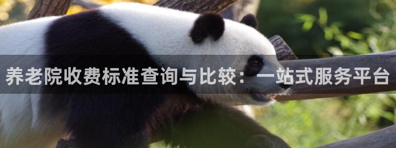 韦德1946下载