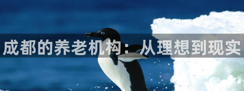 1946韦德网站