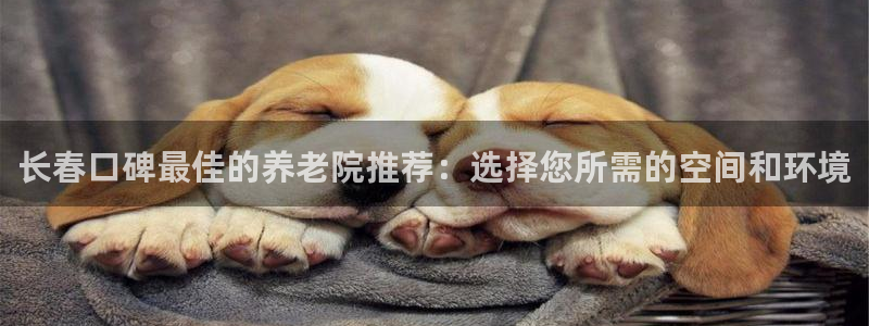 韦德游戏网址
