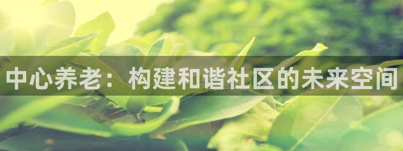 韦德的地位