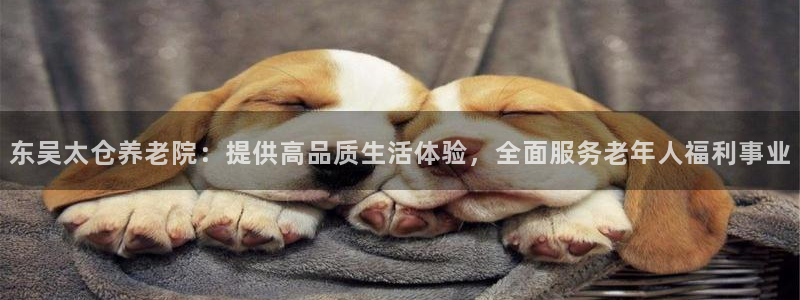 韦德betvlctor1946