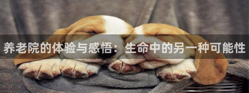 韦德游戏注册有风险吗