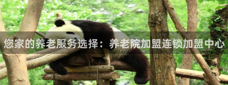 韦德注册手机版下载