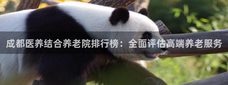 韦德1946官网最新版