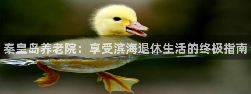 1946韦德找回密码