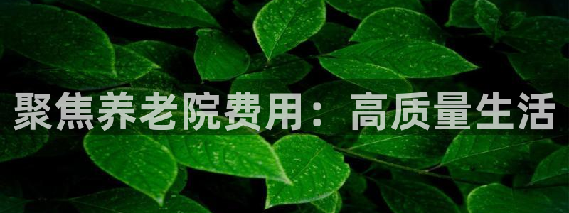 韦德官网注册推荐网站是什么