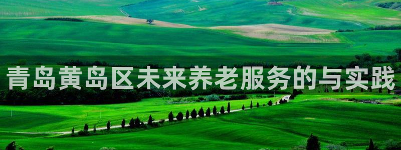 韦德游戏是什么