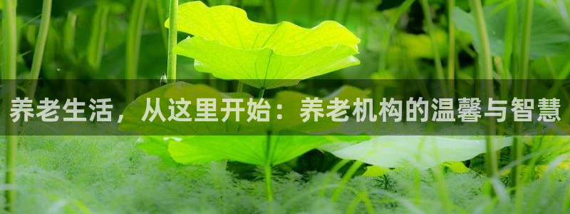 韦德1946官方网站