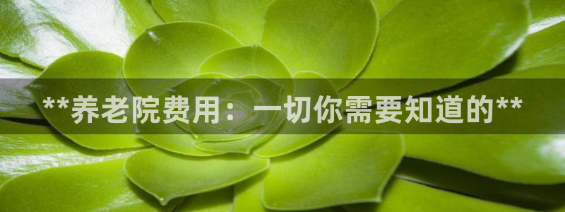 韦德游戏注册要用户口薄
