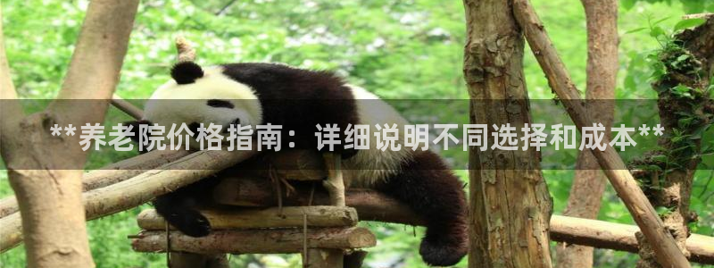 韦德1946备用网站