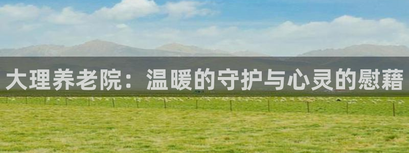 韦德官网注册推荐网站是什么