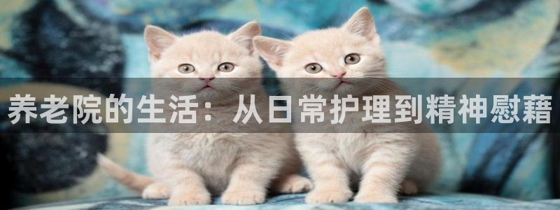 韦德注册手机版下载