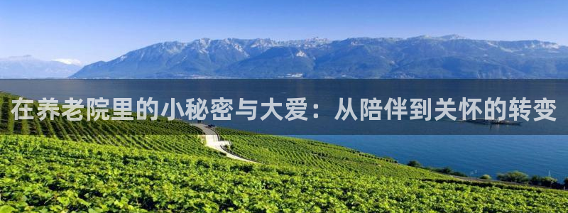 韦德1946体育官方入口