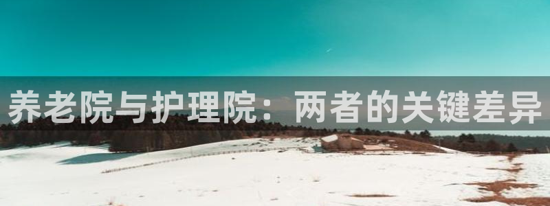 韦德游戏是什么