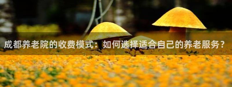 韦德注册手机版下载