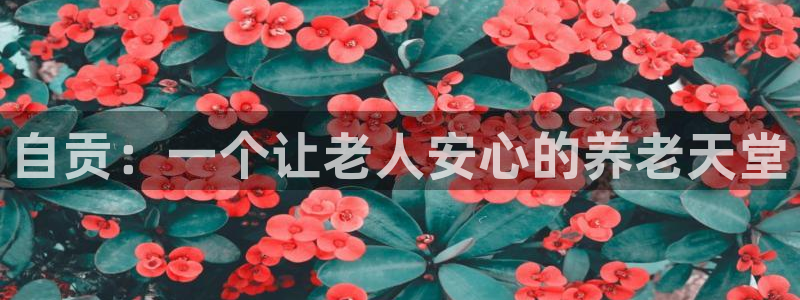 韦德1946手机网址