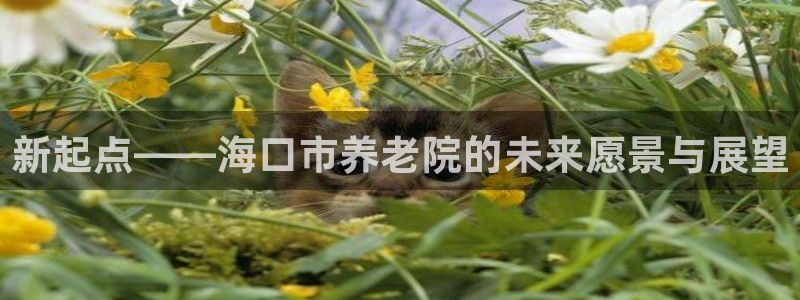 韦德1946中文官网