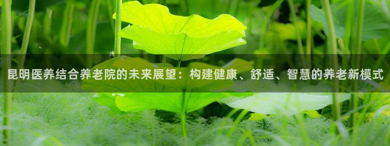 韦德1946始于英国