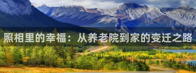 韦德网址