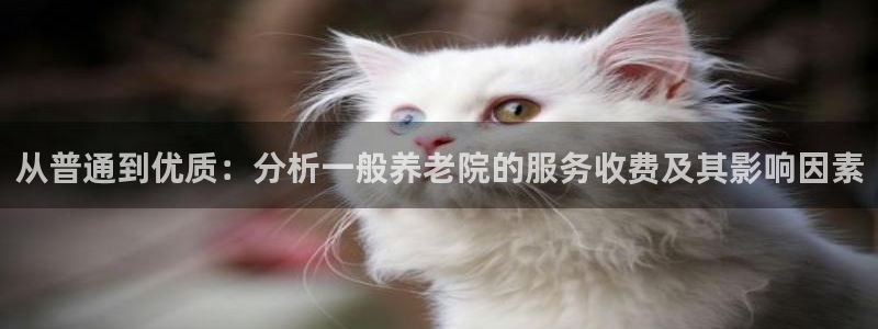 1946韦德官方网站