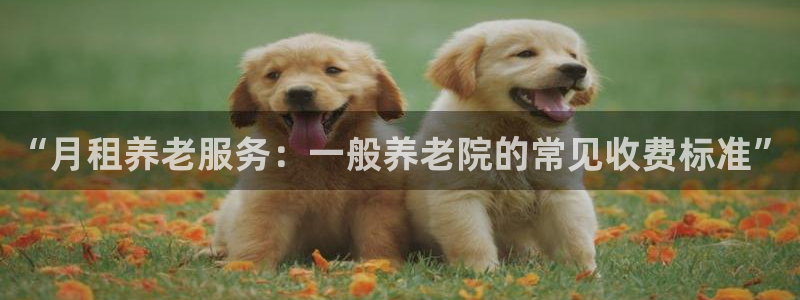 韦德游戏注册