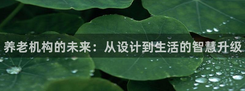 韦德是哪个