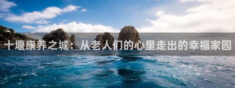 韦德属于什么