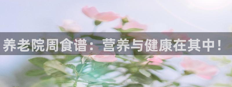 韦德2014