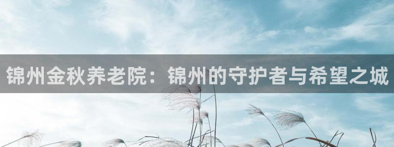 韦德网址是多少
